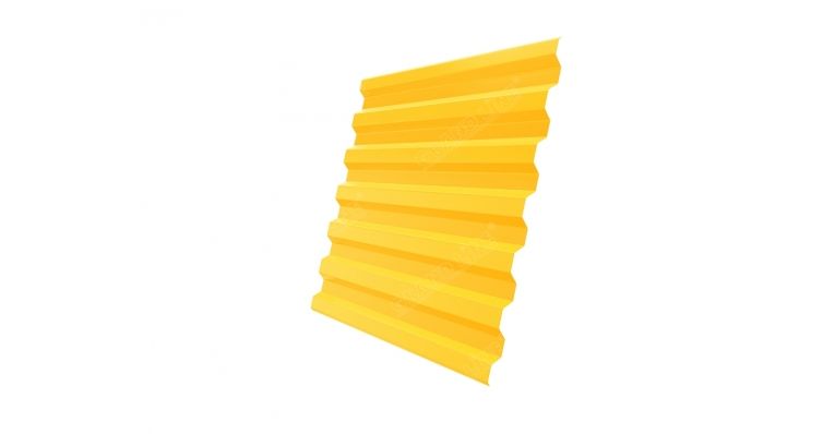 �������� ���������� �21R 0,45 PE RAL 1018 �� �������� ��������